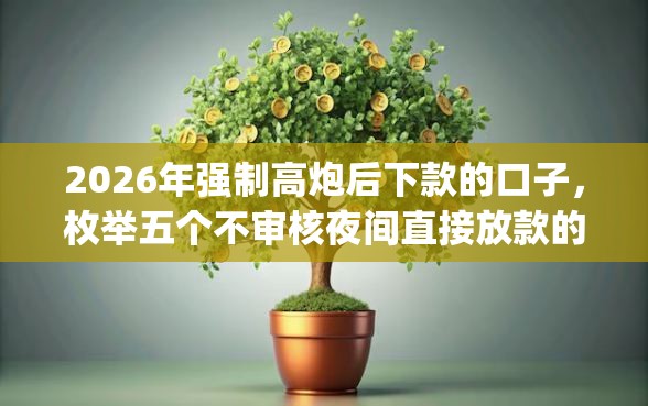 2026年强制高炮后下款的口子，枚举五个不审核夜间直接放款的网贷app