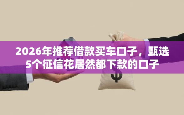 2026年推荐借款买车口子，甄选5个征信花居然都下款的口子