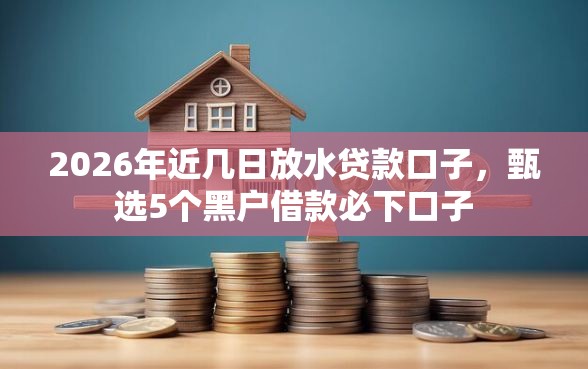 2026年近几日放水贷款口子，甄选5个黑户借款必下口子