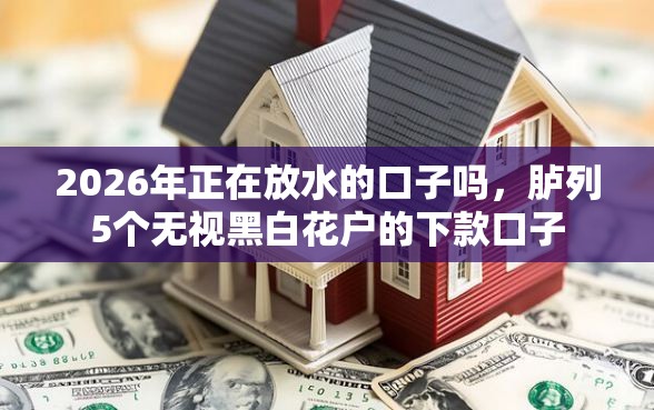 2026年正在放水的口子吗，胪列5个无视黑白花户的下款口子
