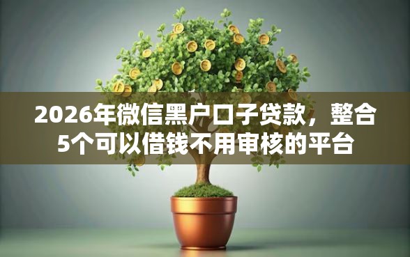 2026年微信黑户口子贷款，整合5个可以借钱不用审核的平台