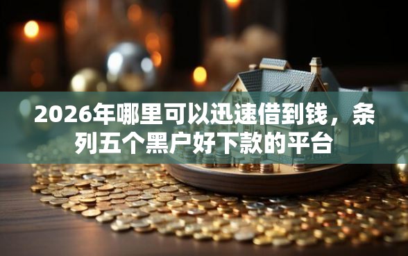 2026年哪里可以迅速借到钱，条列五个黑户好下款的平台