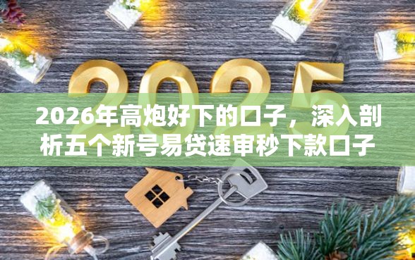2026年高炮好下的口子，深入剖析五个新号易贷速审秒下款口子