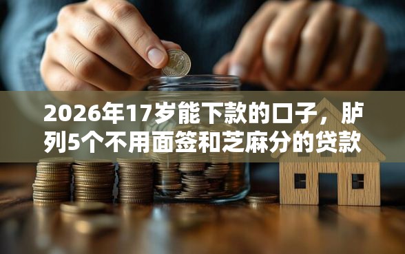 2026年17岁能下款的口子，胪列5个不用面签和芝麻分的贷款口子