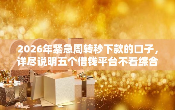 2026年紧急周转秒下款的口子，详尽说明五个借钱平台不看综合评估的平台