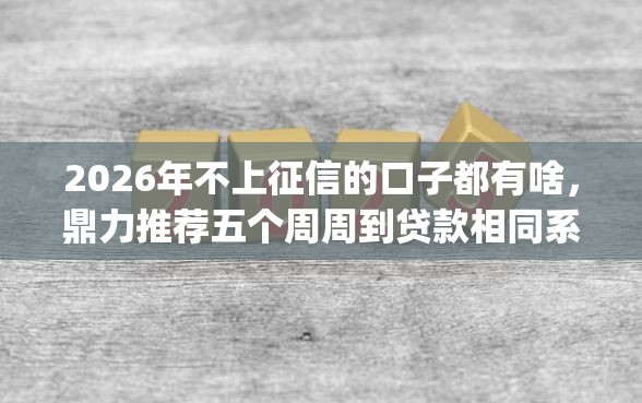 2026年不上征信的口子都有啥，鼎力推荐五个周周到贷款相同系列的app