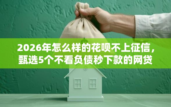 2026年怎么样的花呗不上征信,甄选5个不看负债秒下款的网贷软件 2026年怎么样的花呗不上征信,甄选5个不看负债秒下款的网贷软件