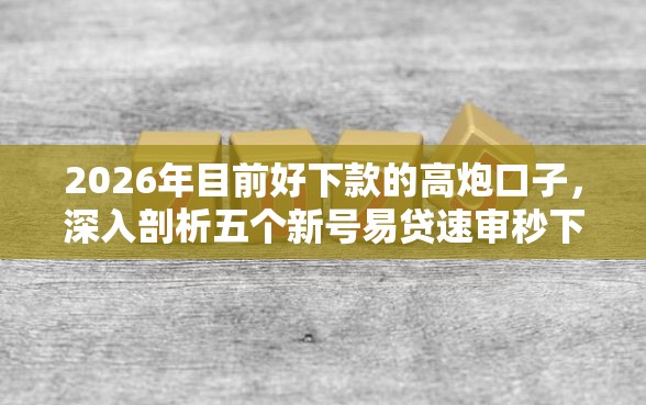 2026年目前好下款的高炮口子，深入剖析五个新号易贷速审秒下款口子