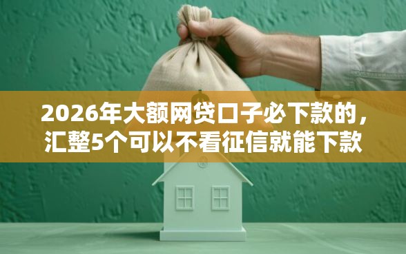 2026年大额网贷口子必下款的，汇整5个可以不看征信就能下款的软件