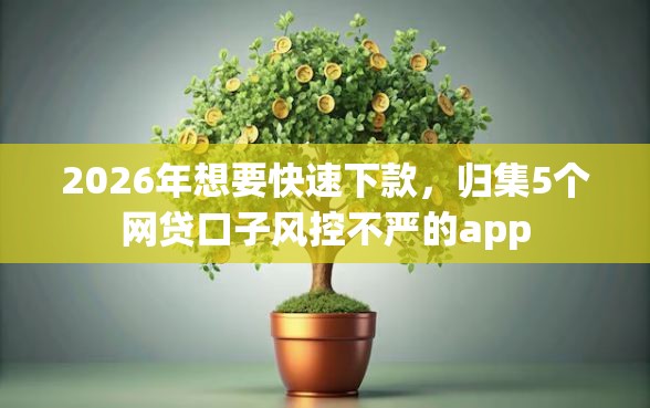 2026年想要快速下款，归集5个网贷口子风控不严的app