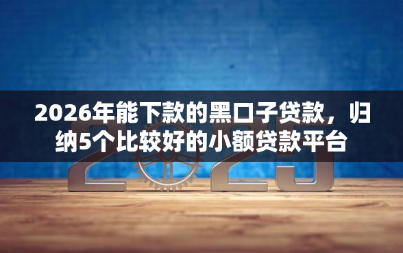 2026年能下款的黑口子贷款，归纳5个比较好的小额贷款平台