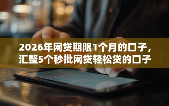 2026年网贷期限1个月的口子，汇整5个秒批网贷轻松贷的口子