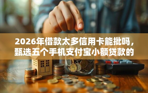 2026年借款太多信用卡能批吗，甄选五个手机支付宝小额贷款的软件