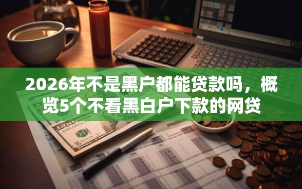 2026年不是黑户都能贷款吗，概览5个不看黑白户下款的网贷