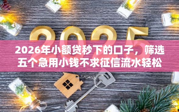 2026年小额贷秒下的口子，筛选五个急用小钱不求征信流水轻松贷的软件