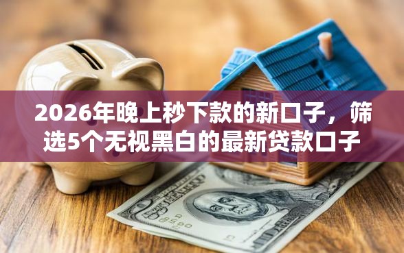 2026年晚上秒下款的新口子，筛选5个无视黑白的最新贷款口子