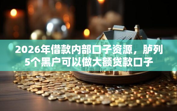 2026年借款内部口子资源，胪列5个黑户可以做大额贷款口子