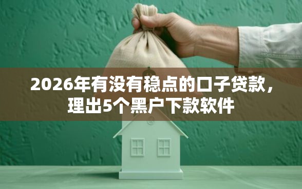 2026年有没有稳点的口子贷款，理出5个黑户下款软件