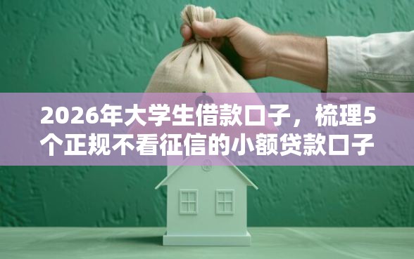2026年大学生借款口子，梳理5个正规不看征信的小额贷款口子