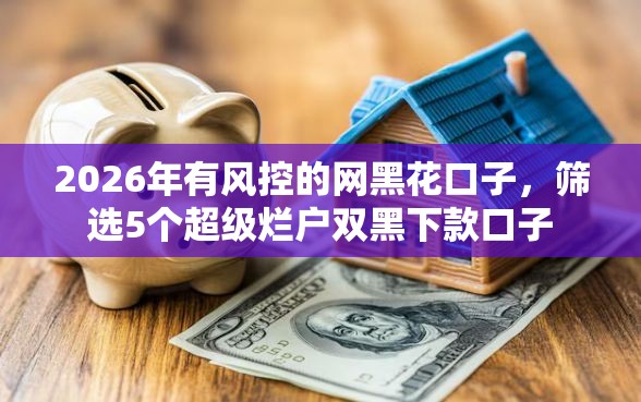 2026年有风控的网黑花口子，筛选5个超级烂户双黑下款口子