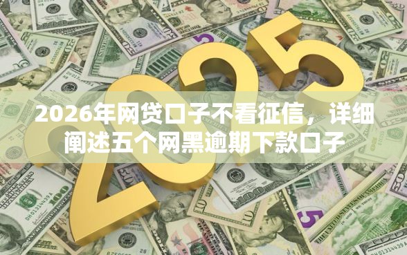 2026年网贷口子不看征信，详细阐述五个网黑逾期下款口子