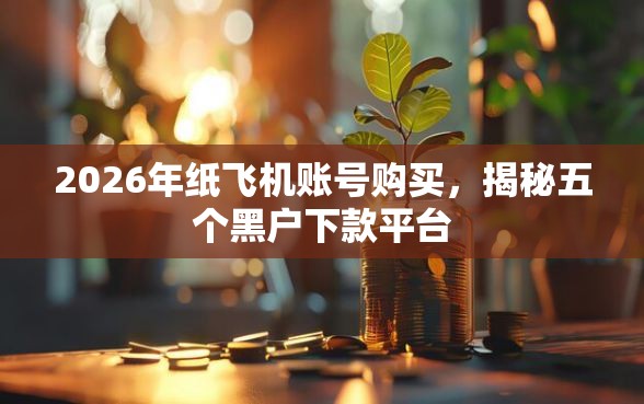 2026年纸飞机账号购买，揭秘五个黑户下款平台
