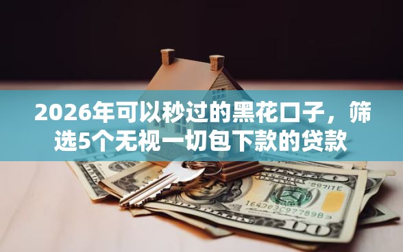 2026年可以秒过的黑花口子，筛选5个无视一切包下款的贷款