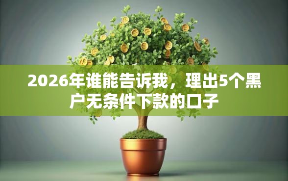 2026年谁能告诉我，理出5个黑户无条件下款的口子