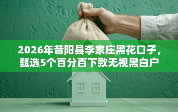 2026年昔阳县李家庄黑花口子，甄选5个百分百下款无视黑白户网贷平台