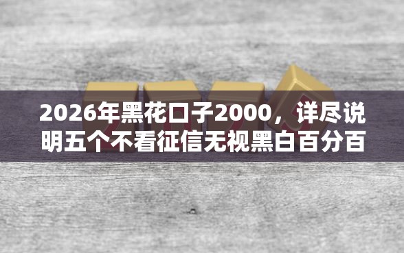 2026年黑花口子2000，详尽说明五个不看征信无视黑白百分百下款平台
