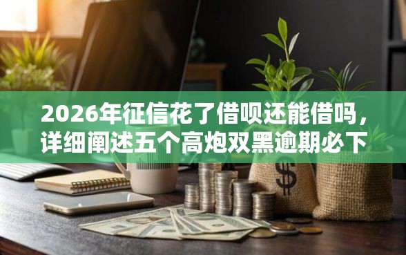 2026年征信花了借呗还能借吗，详细阐述五个高炮双黑逾期必下款口子