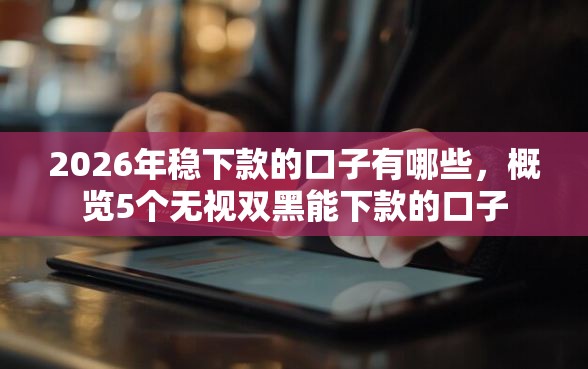 2026年稳下款的口子有哪些，概览5个无视双黑能下款的口子