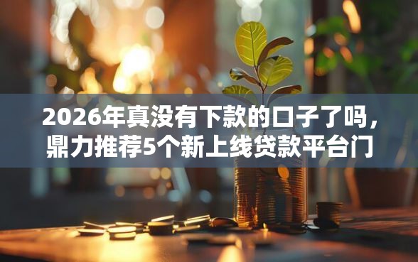 2026年真没有下款的口子了吗，鼎力推荐5个新上线贷款平台门槛低口子
