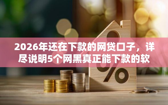 2026年还在下款的网贷口子，详尽说明5个网黑真正能下款的软件