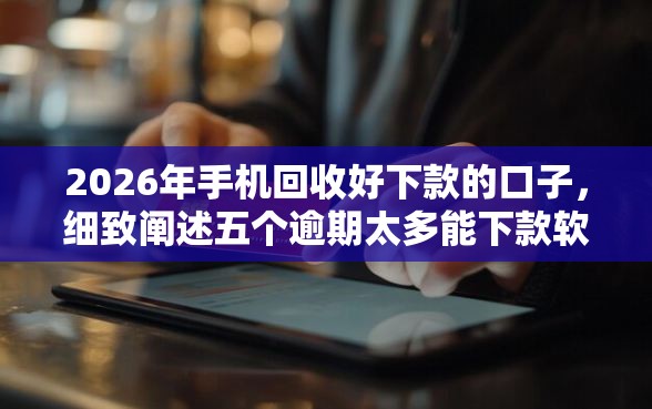 2026年手机回收好下款的口子，细致阐述五个逾期太多能下款软件