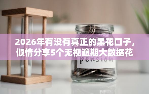 2026年有没有真正的黑花口子，倾情分享5个无视逾期大数据花户黑户平台