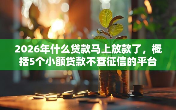 2026年什么贷款马上放款了，概括5个小额贷款不查征信的平台