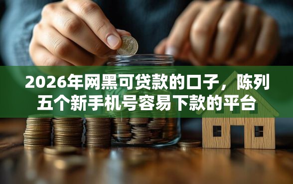 2026年网黑可贷款的口子，陈列五个新手机号容易下款的平台