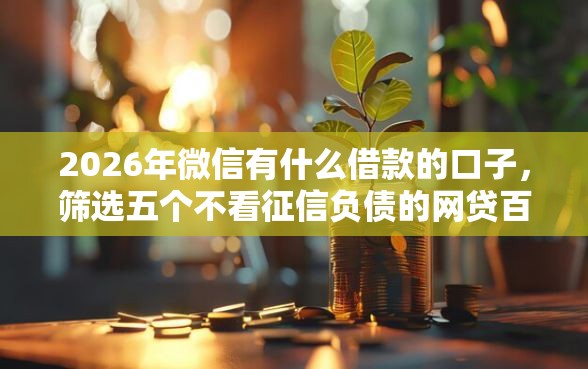 2026年微信有什么借款的口子，筛选五个不看征信负债的网贷百分百下款软件
