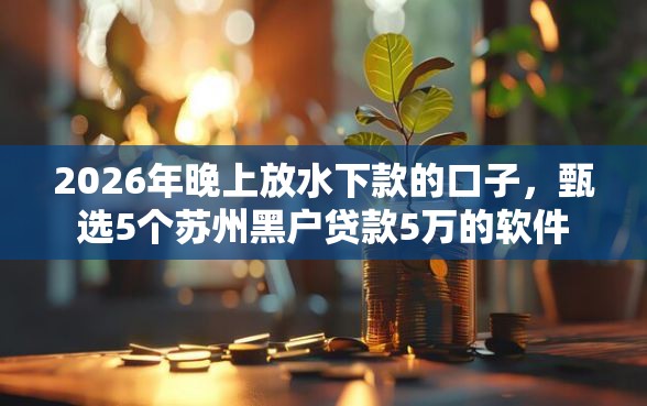 2026年晚上放水下款的口子，甄选5个苏州黑户贷款5万的软件