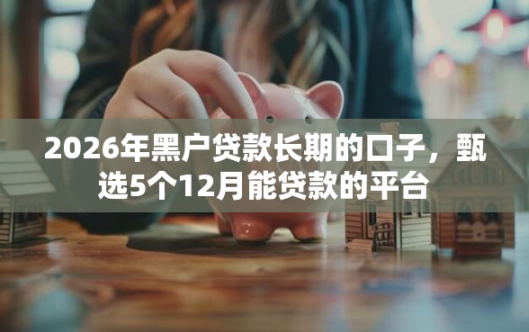 2026年黑户贷款长期的口子，甄选5个12月能贷款的平台