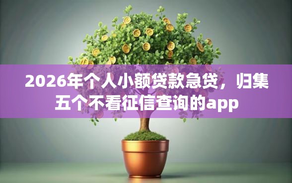 2026年个人小额贷款急贷，归集五个不看征信查询的app