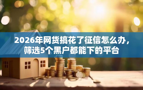 2026年网货搞花了征信怎么办，筛选5个黑户都能下的平台