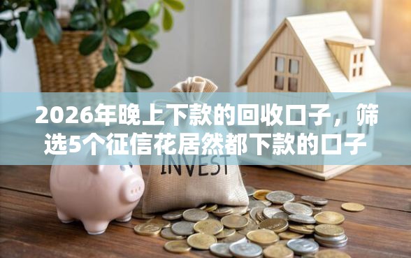 2026年晚上下款的回收口子，筛选5个征信花居然都下款的口子