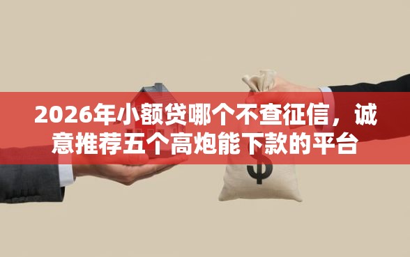 2026年小额贷哪个不查征信，诚意推荐五个高炮能下款的平台