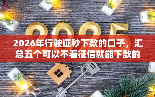 2026年行驶证秒下款的口子，汇总五个可以不看征信就能下款的口子