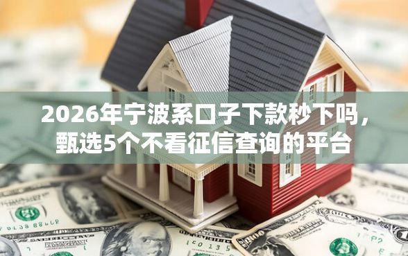 2026年宁波系口子下款秒下吗，甄选5个不看征信查询的平台
