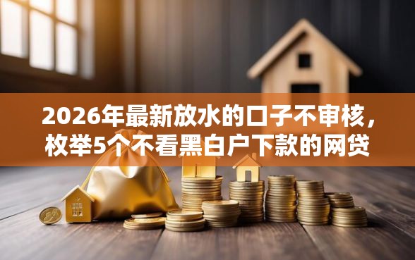 2026年最新放水的口子不审核，枚举5个不看黑白户下款的网贷