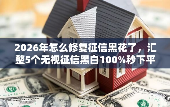 2026年怎么修复征信黑花了，汇整5个无视征信黑白100%秒下平台