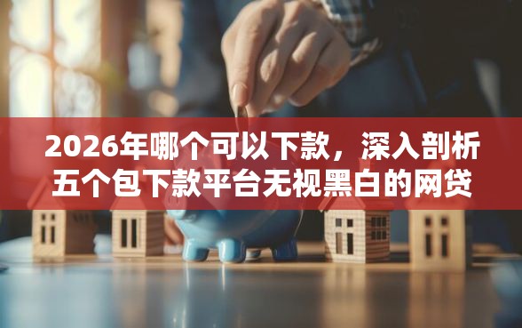 2026年哪个可以下款，深入剖析五个包下款平台无视黑白的网贷